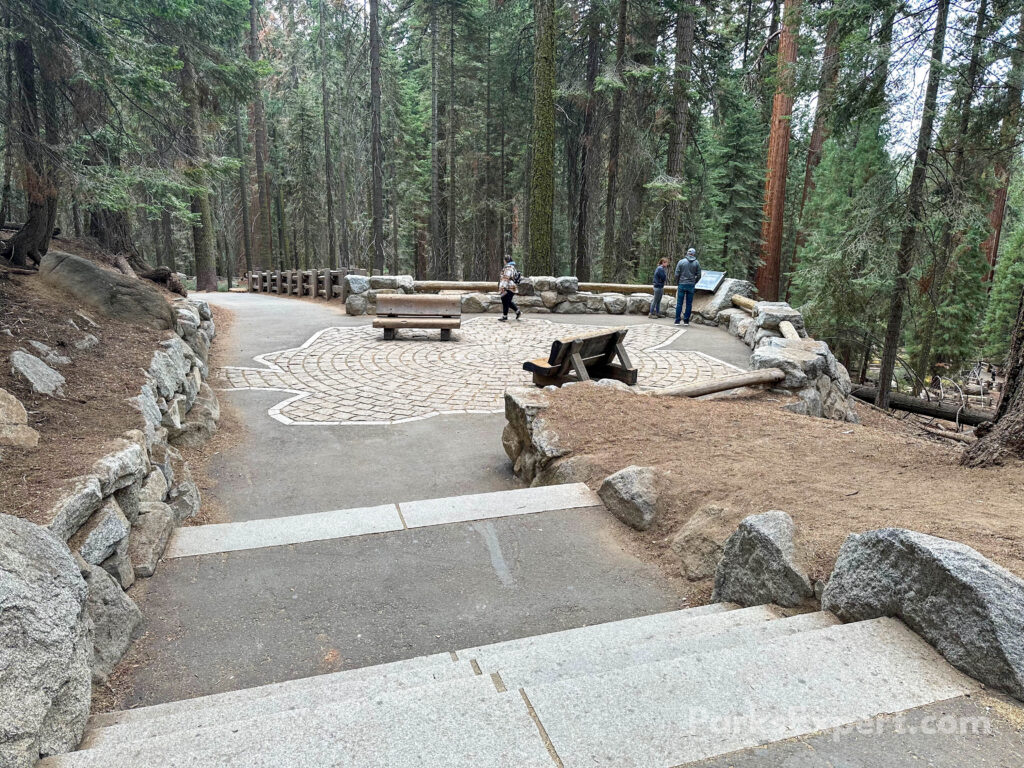 Hiking the General Sherman Tree Trail in Sequoia National Park: How to See the World's Largest Tree 18 Stairs on a paved path leading to the General Sherman Tree