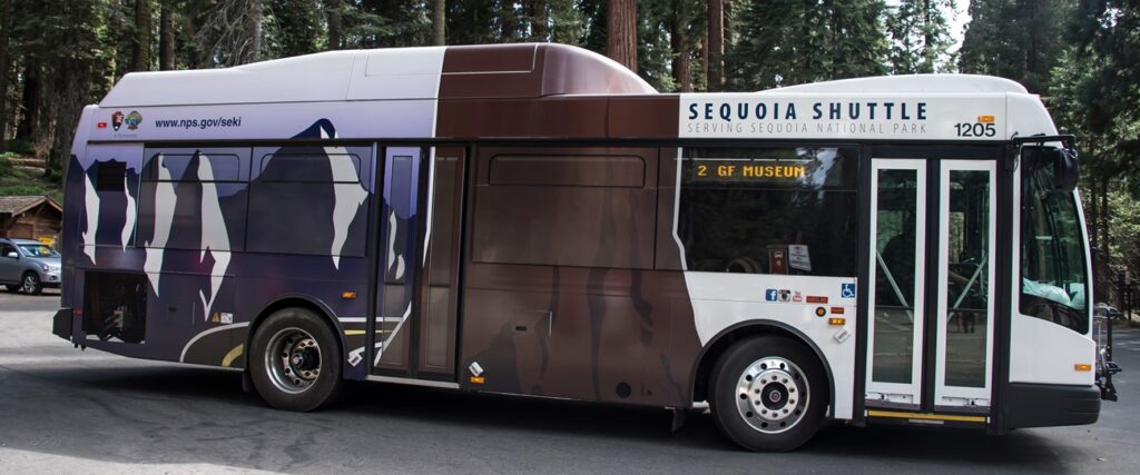Hiking the General Sherman Tree Trail in Sequoia National Park: How to See the World's Largest Tree 7 A purple shuttle bus with a brown sequoia tree base on the side