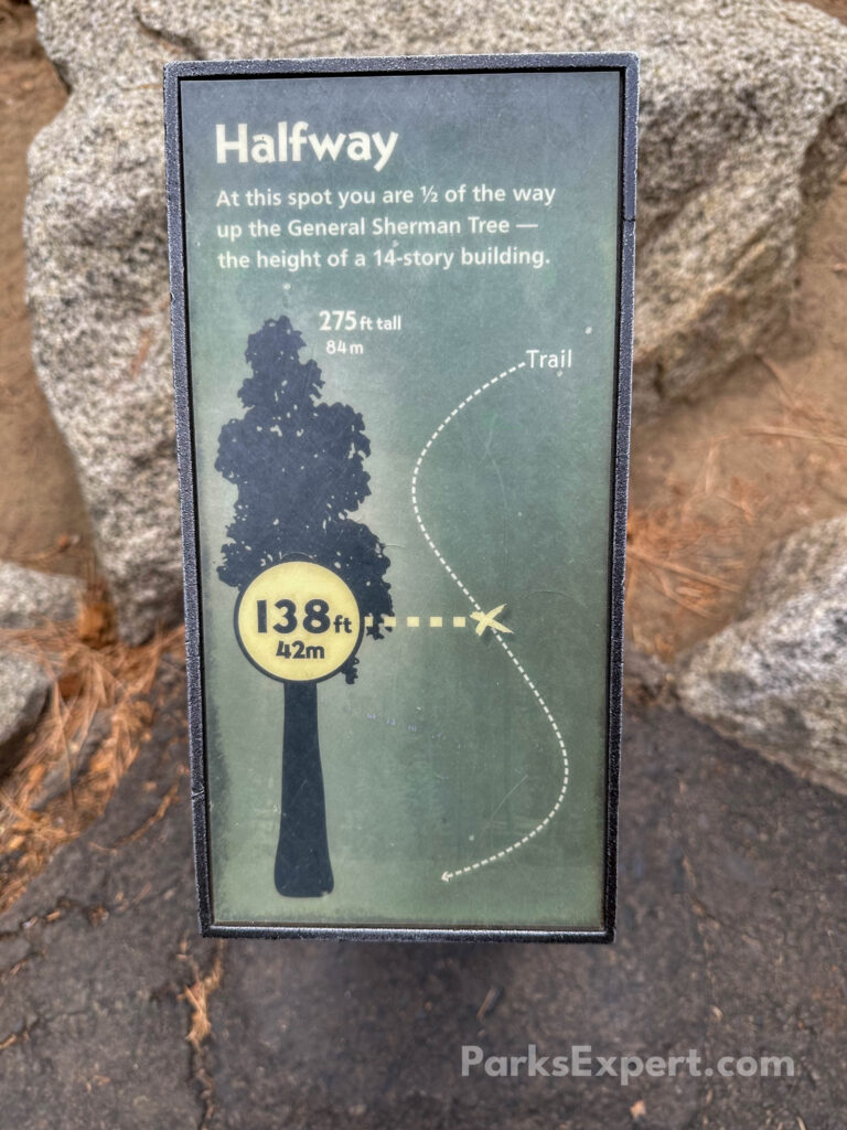 Hiking the General Sherman Tree Trail in Sequoia National Park: How to See the World's Largest Tree 16 A trail marker details how far down the 212-ft trail the hiker is compared to the height of the General Sherman Tree