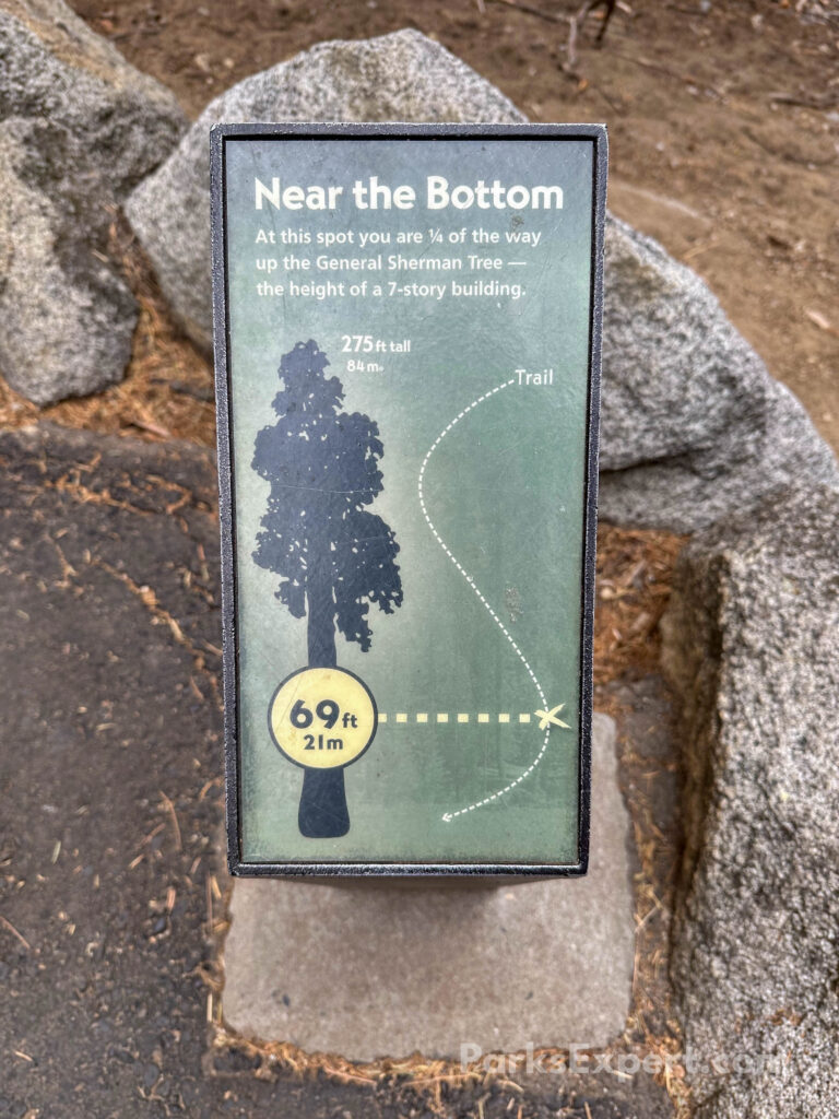 Hiking the General Sherman Tree Trail in Sequoia National Park: How to See the World's Largest Tree 17 A trail marker details how far down the 212-ft trail the hiker is compared to the height of the General Sherman Tree