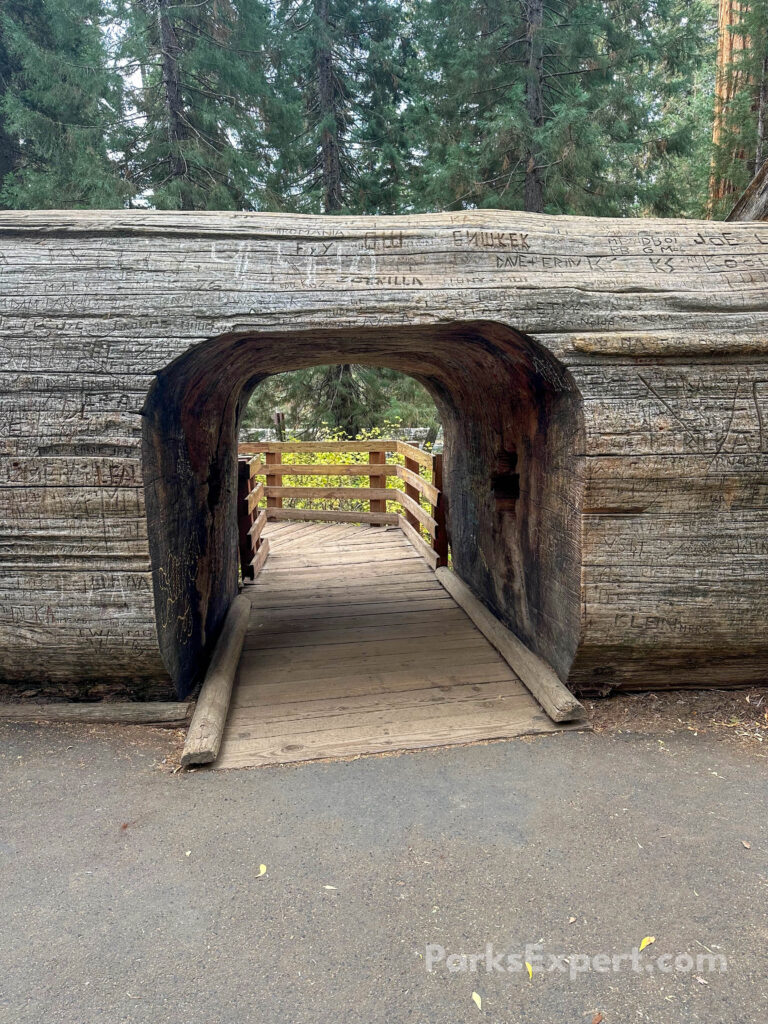 Hiking the General Sherman Tree Trail in Sequoia National Park: How to See the World's Largest Tree 21 A paved path leads to a wooden bridge through a tree tunnel