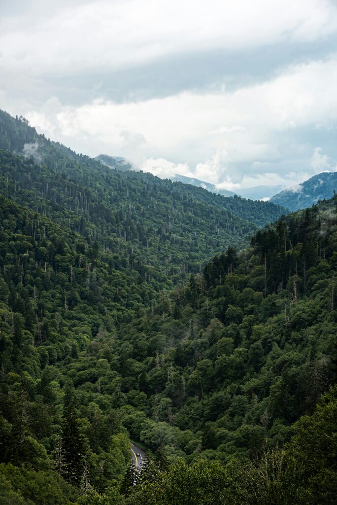 Everything You Need to Know About the Great Smoky Mountains National Park Parking Tags 6 White clouds in the sky above green mountains covered in trees