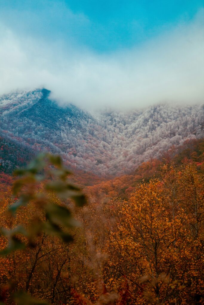 Everything You Need to Know About the Great Smoky Mountains National Park Parking Tags 8 Snowy peaks peek out from behind wispy clouds