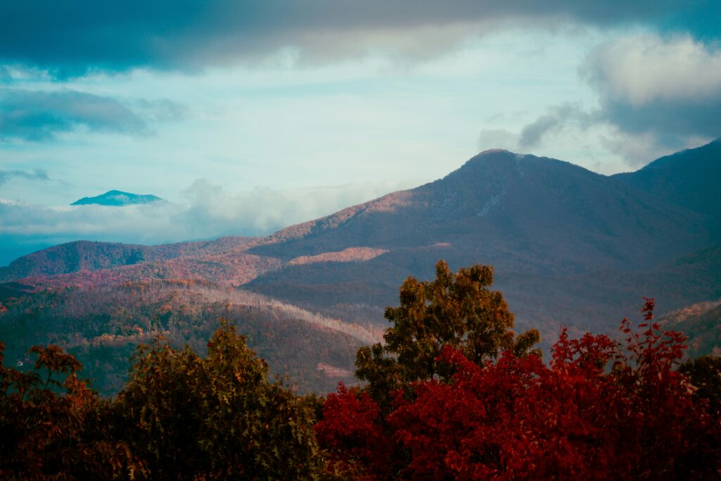 Everything You Need to Know About the Great Smoky Mountains National Park Parking Tags 15 Red leaves on mountains
