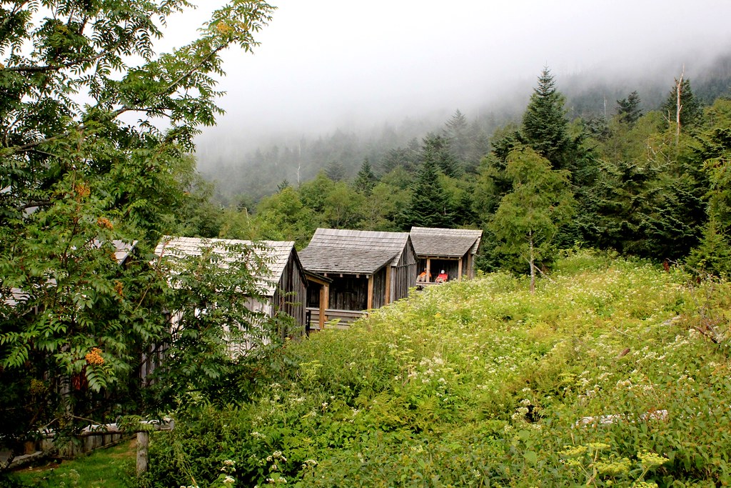 Hiking Alum Cave Trail in Great Smoky Mountains National Park 28 Three wooden Mount LeConte Lodge buildings below a grassy hill in the forest