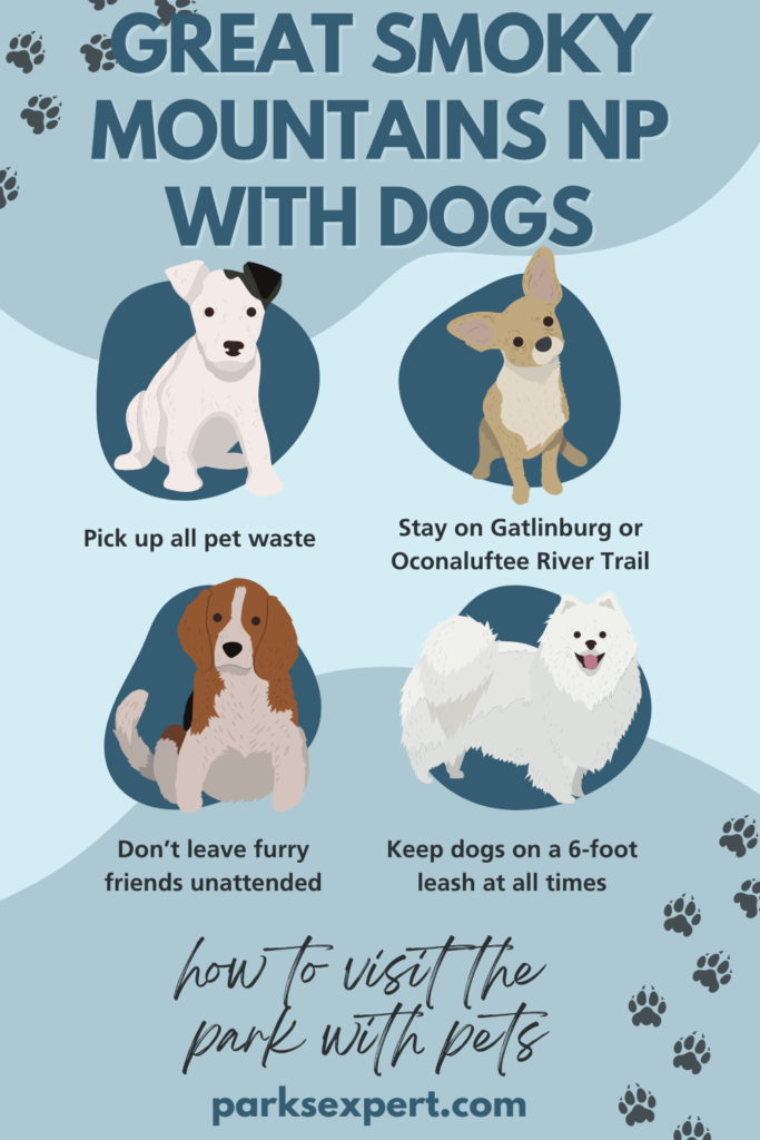 Are Dogs Allowed in Great Smoky Mountains National Park? 12 Pin with four dogs in blue circles with tips on visiting Great Smoky Mountains National Park with pets below each image